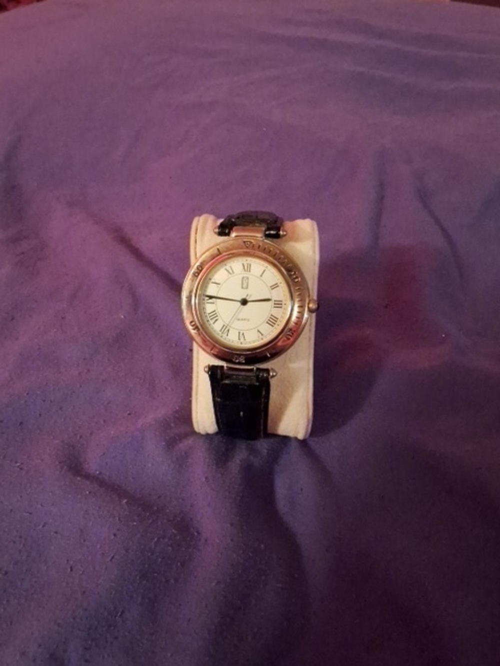 Mens Paul Sabastain Watch